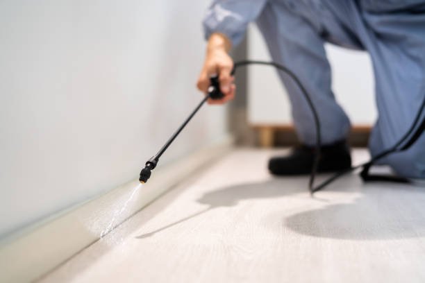 Licensed Pest Control service in Barview, OR - Show Me Pest Control