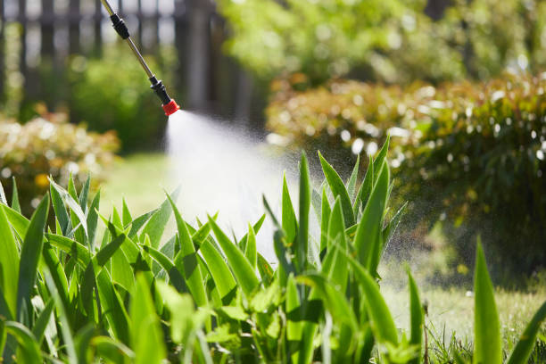 24/7 Emergency Mosquito Control experts in Barview, OR