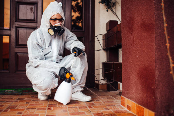 Reliable Mosquito Control contractor in Barview, OR by Show Me Pest Control